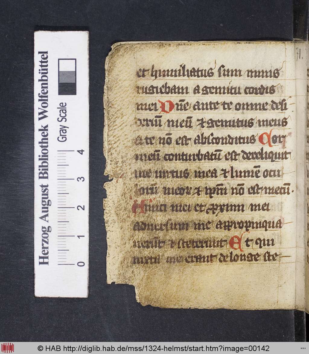 http://diglib.hab.de/mss/1324-helmst/00142.jpg