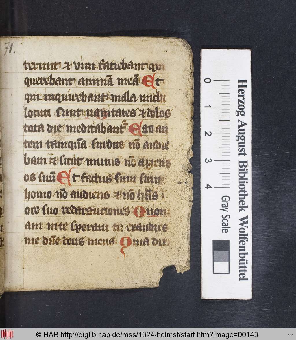 http://diglib.hab.de/mss/1324-helmst/00143.jpg