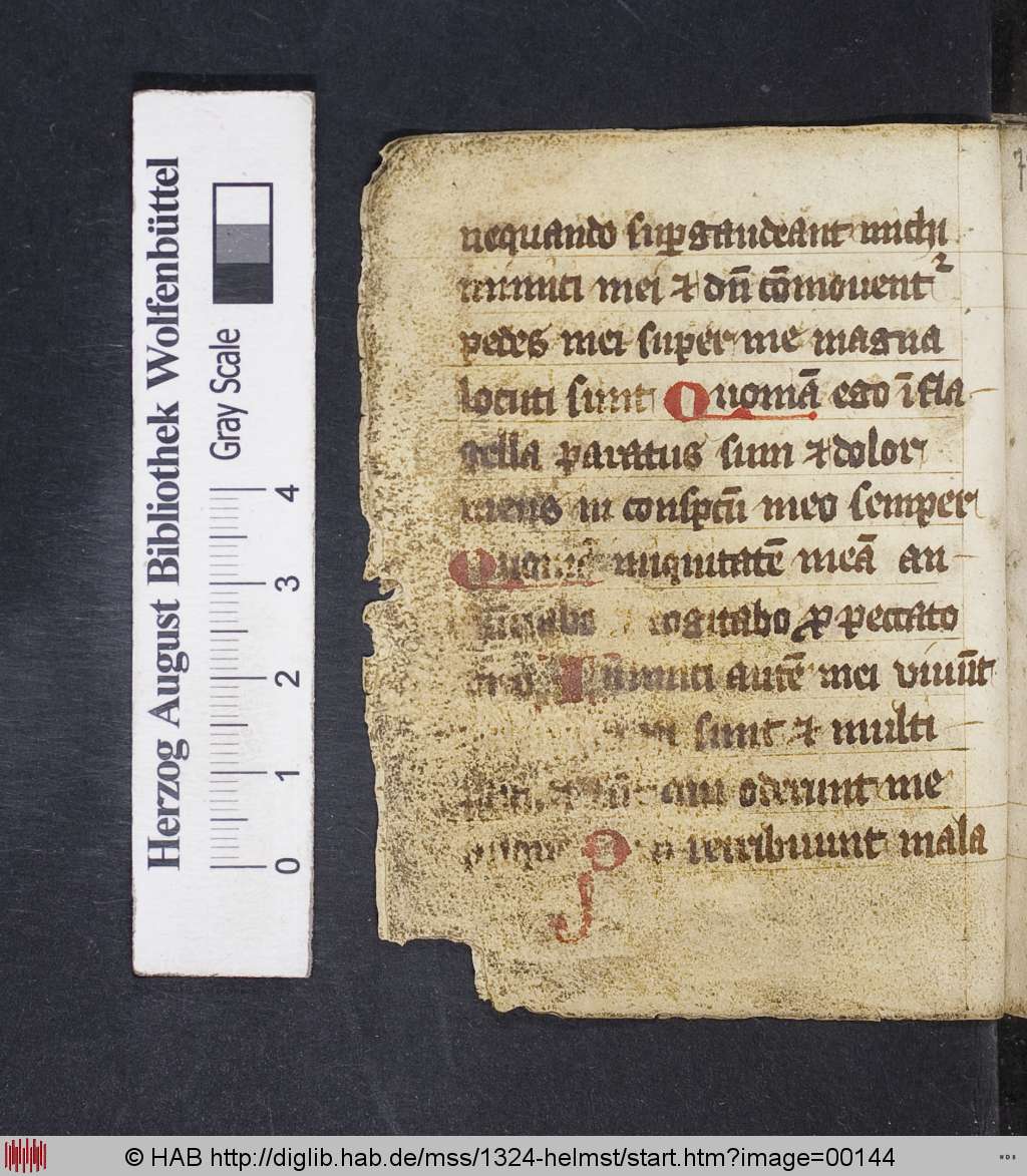 http://diglib.hab.de/mss/1324-helmst/00144.jpg