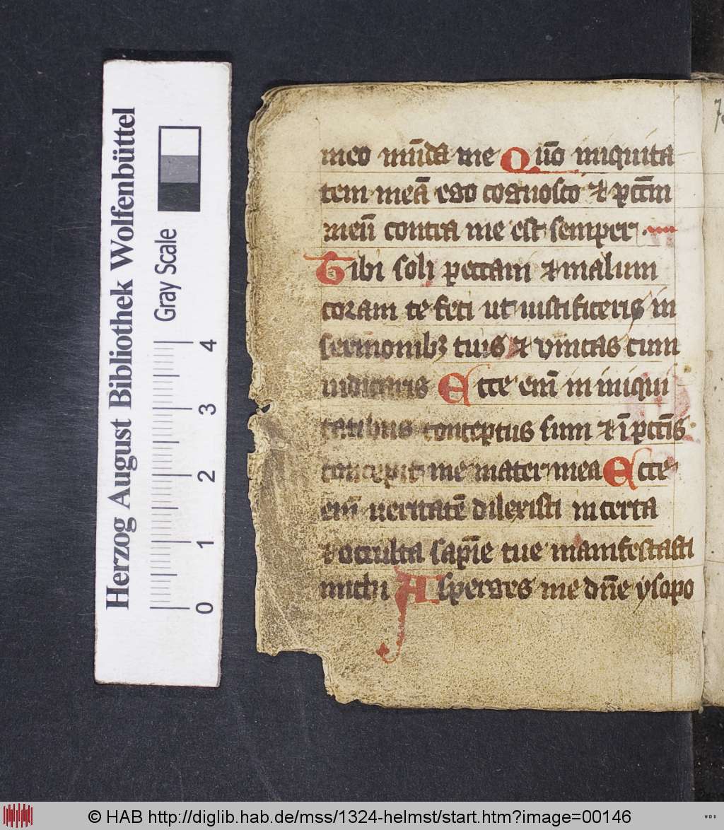 http://diglib.hab.de/mss/1324-helmst/00146.jpg