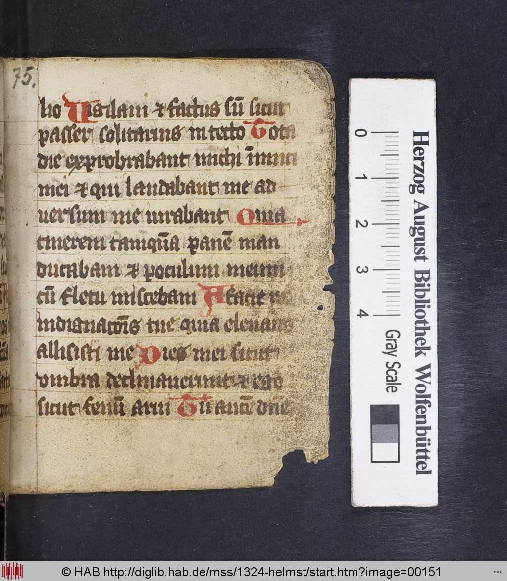 http://diglib.hab.de/mss/1324-helmst/00151.jpg