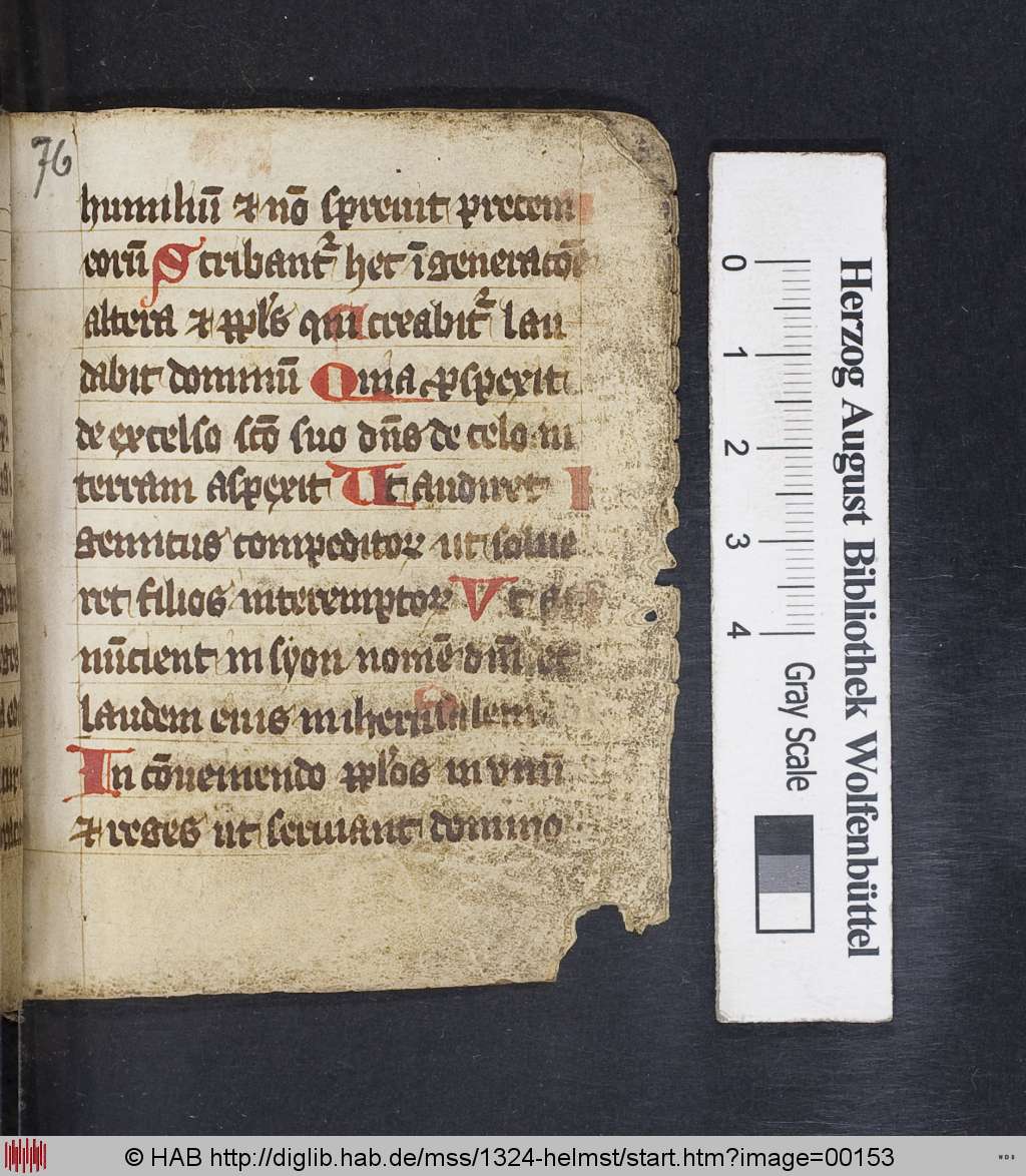 http://diglib.hab.de/mss/1324-helmst/00153.jpg