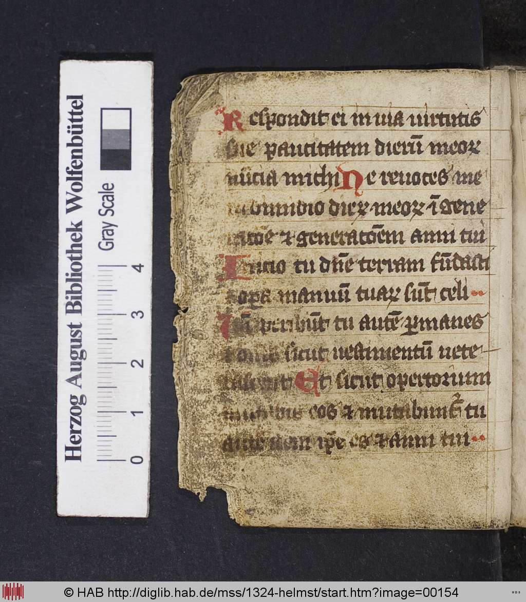 http://diglib.hab.de/mss/1324-helmst/00154.jpg