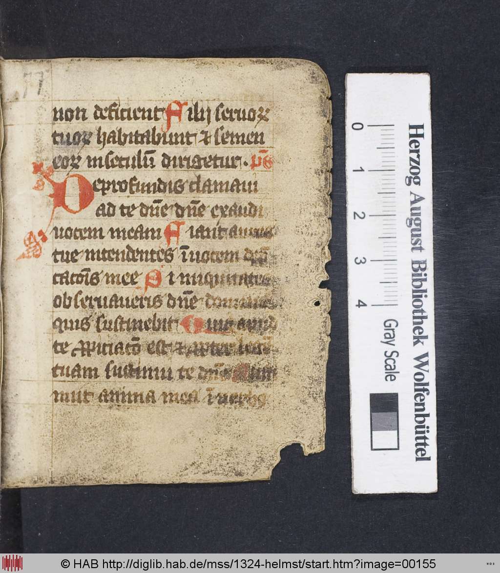 http://diglib.hab.de/mss/1324-helmst/00155.jpg