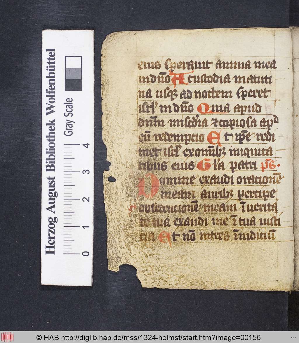 http://diglib.hab.de/mss/1324-helmst/00156.jpg