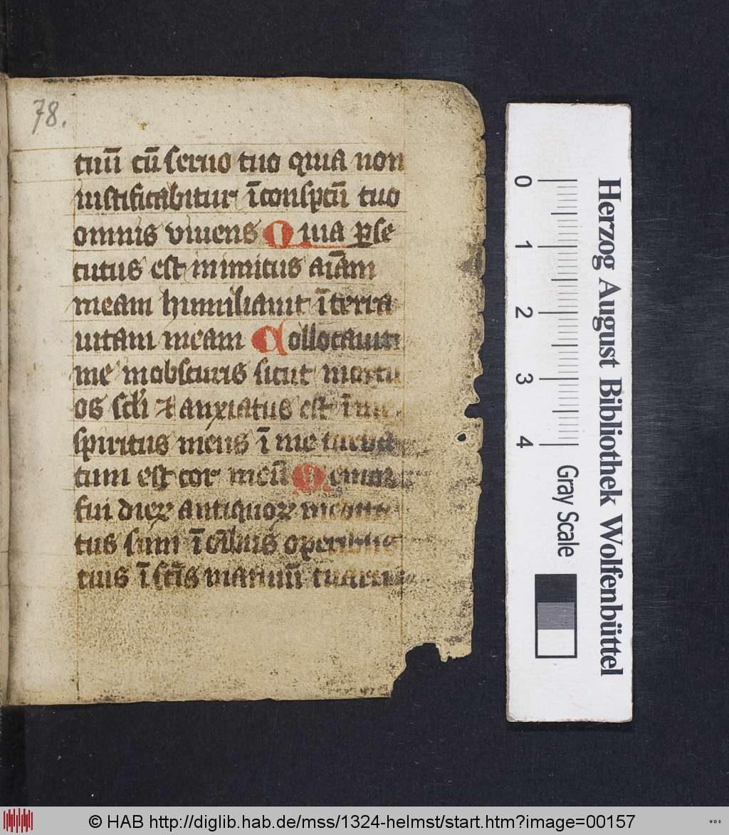 http://diglib.hab.de/mss/1324-helmst/00157.jpg