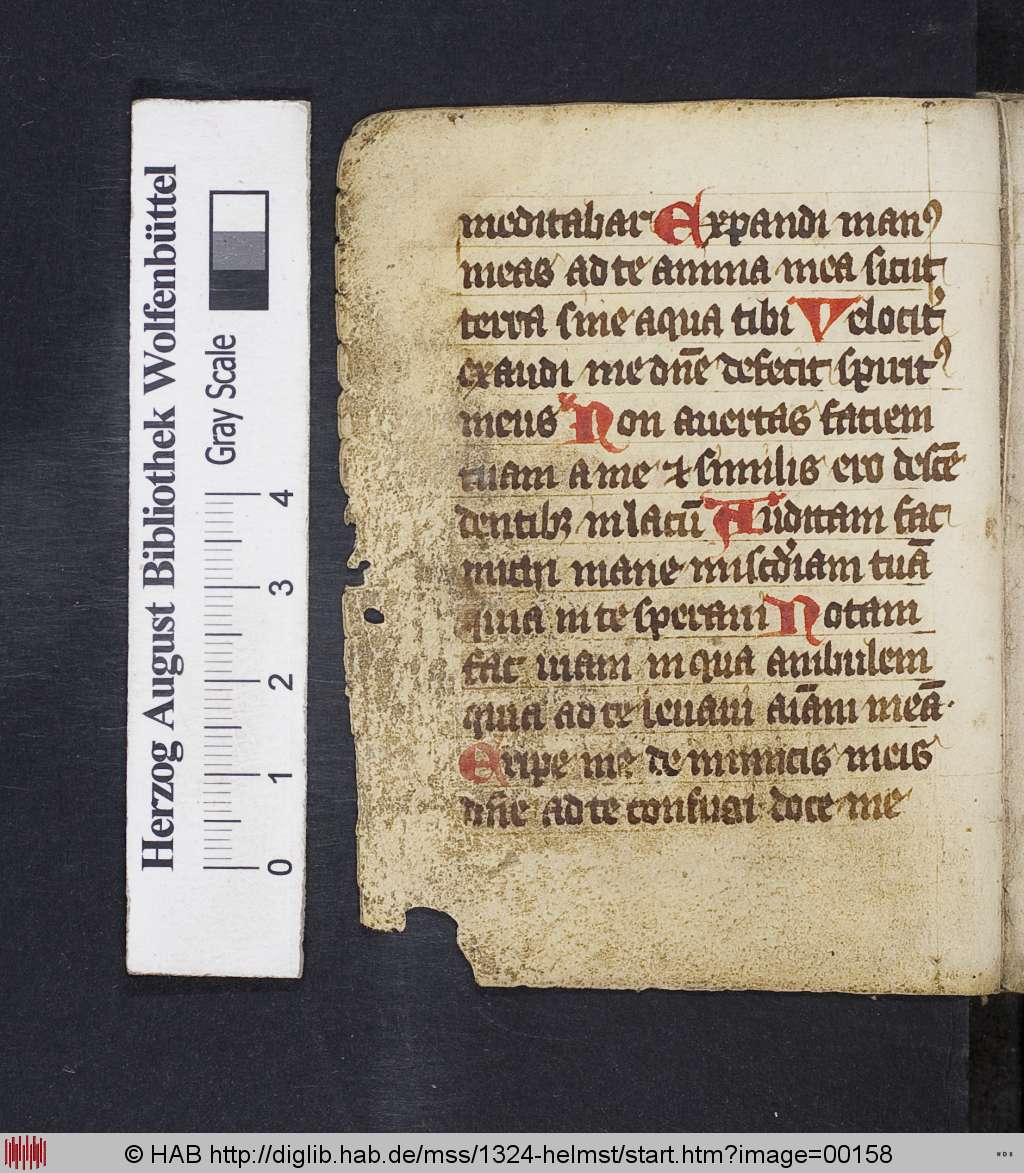 http://diglib.hab.de/mss/1324-helmst/00158.jpg