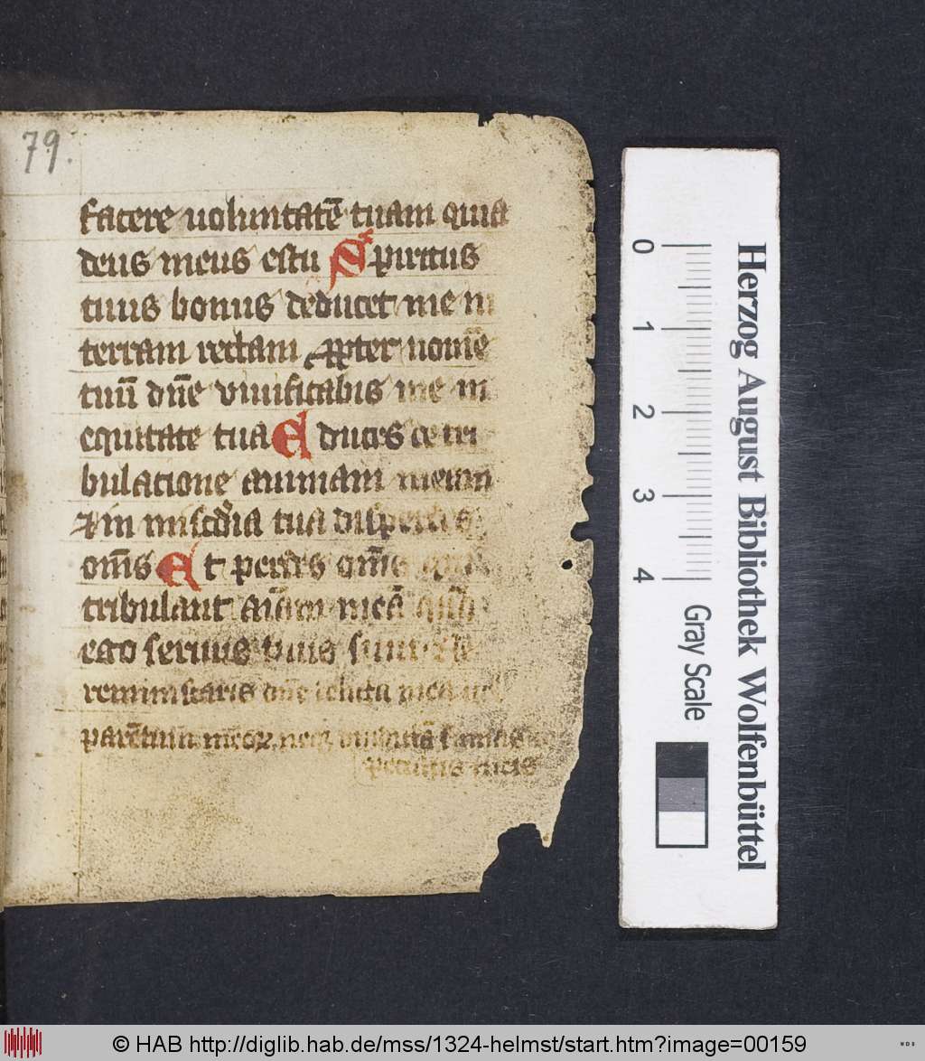 http://diglib.hab.de/mss/1324-helmst/00159.jpg