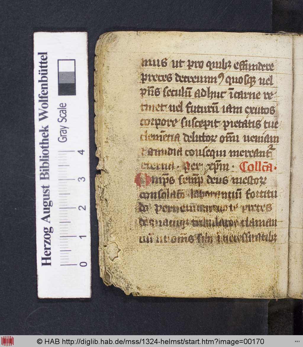 http://diglib.hab.de/mss/1324-helmst/00170.jpg