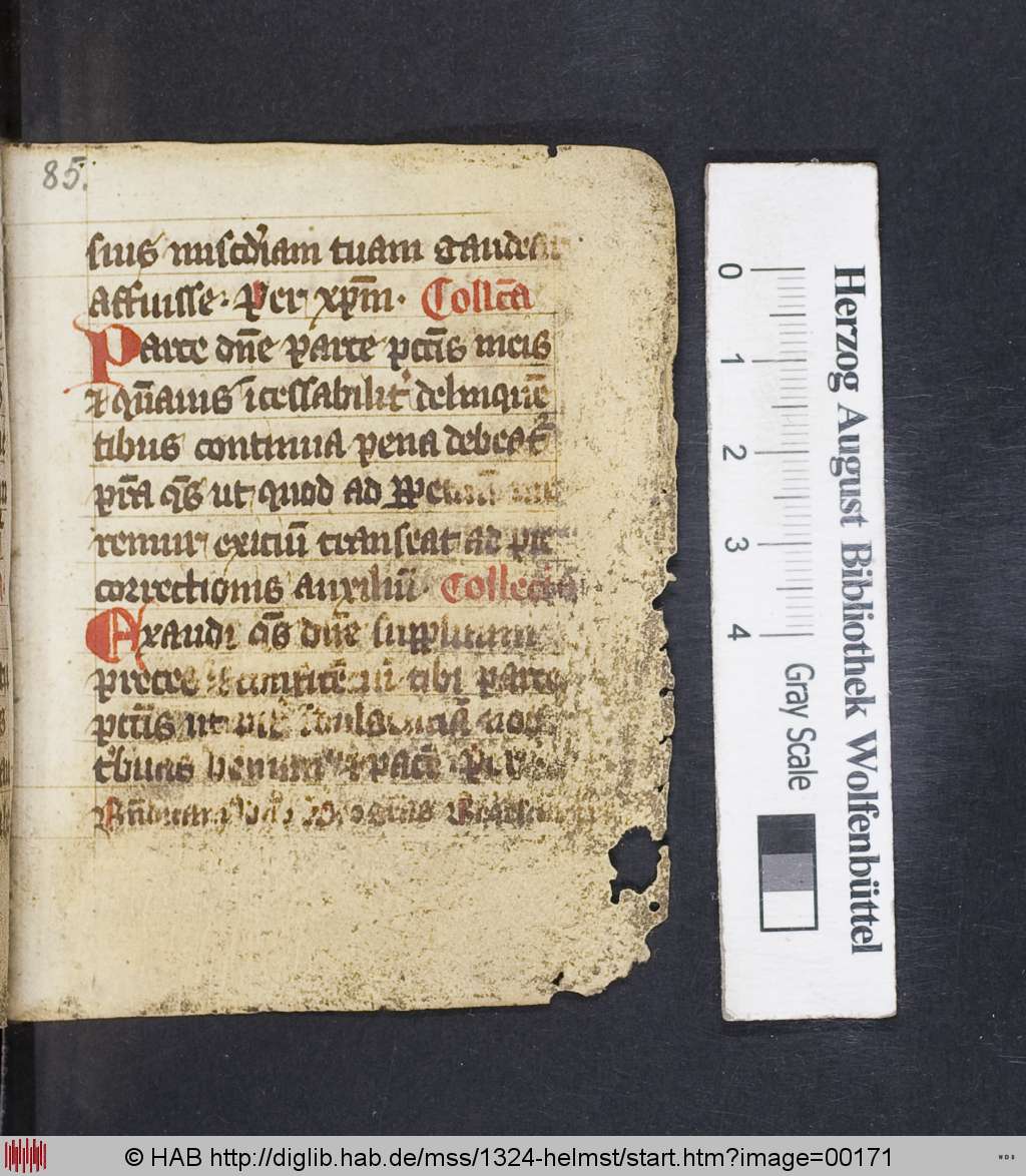 http://diglib.hab.de/mss/1324-helmst/00171.jpg