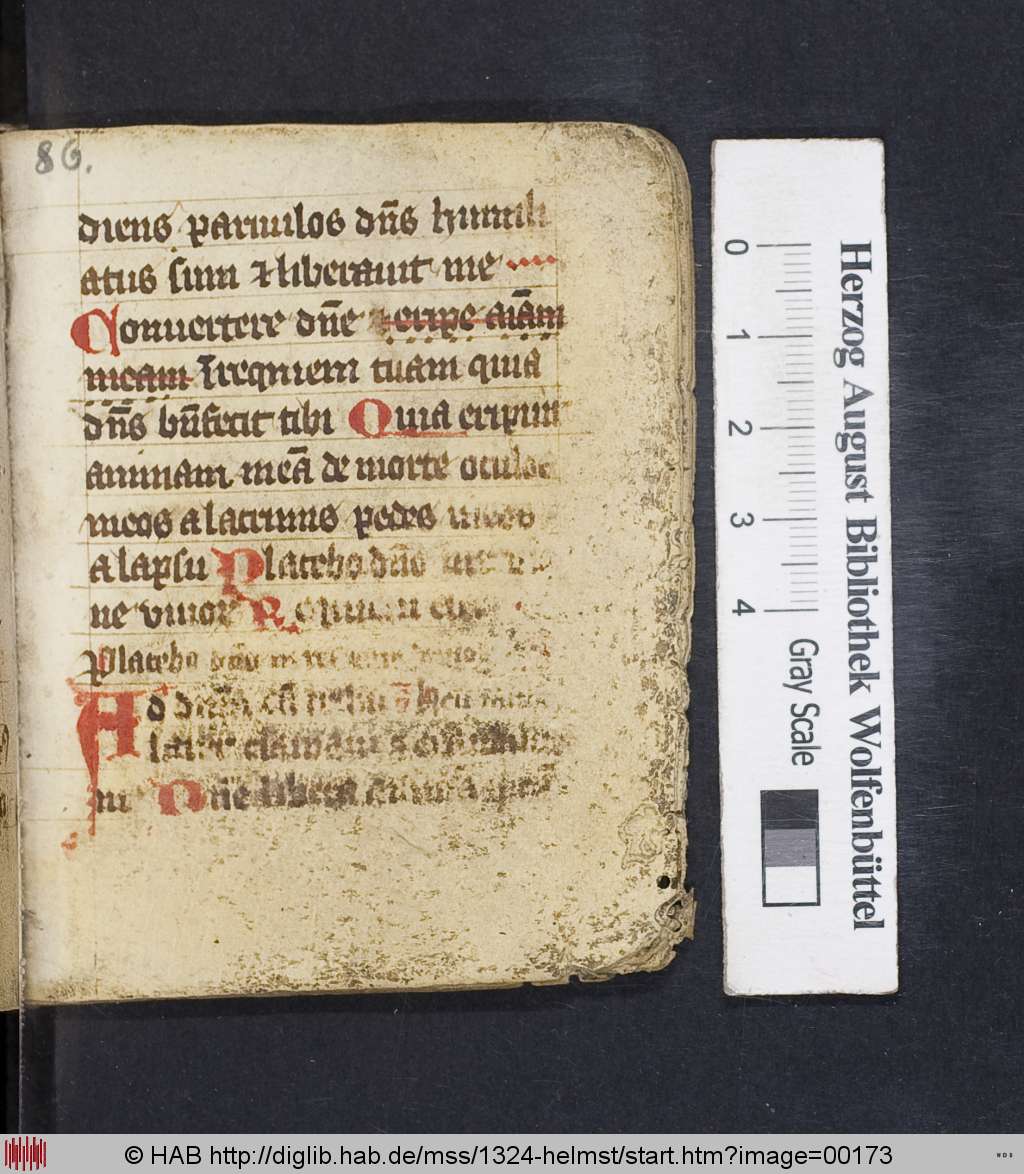 http://diglib.hab.de/mss/1324-helmst/00173.jpg