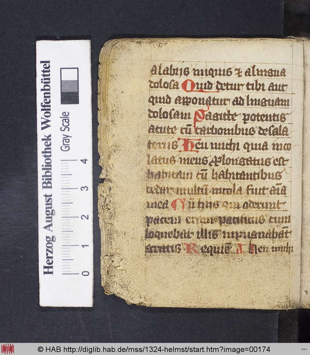 http://diglib.hab.de/mss/1324-helmst/00174.jpg