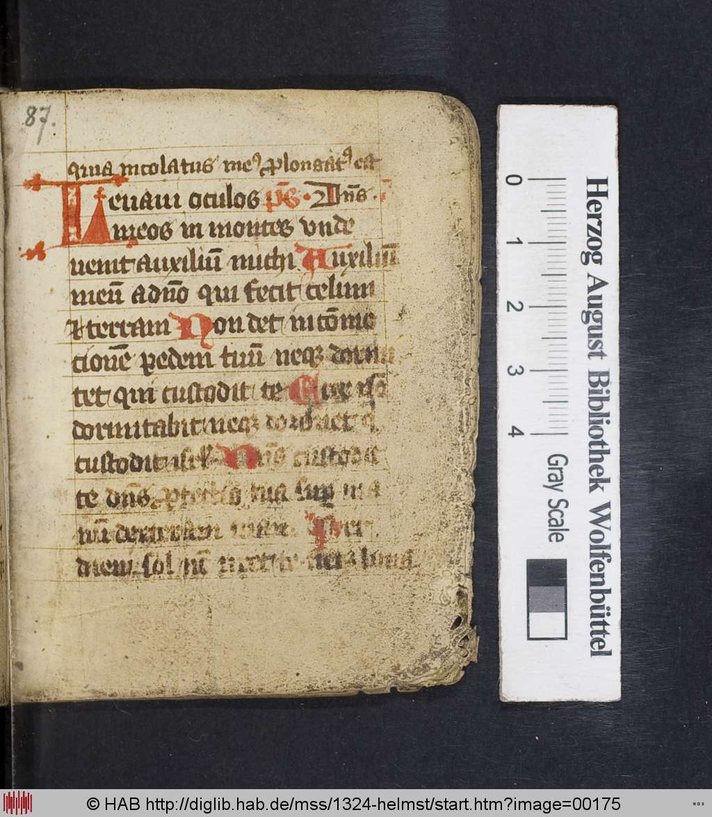 http://diglib.hab.de/mss/1324-helmst/00175.jpg