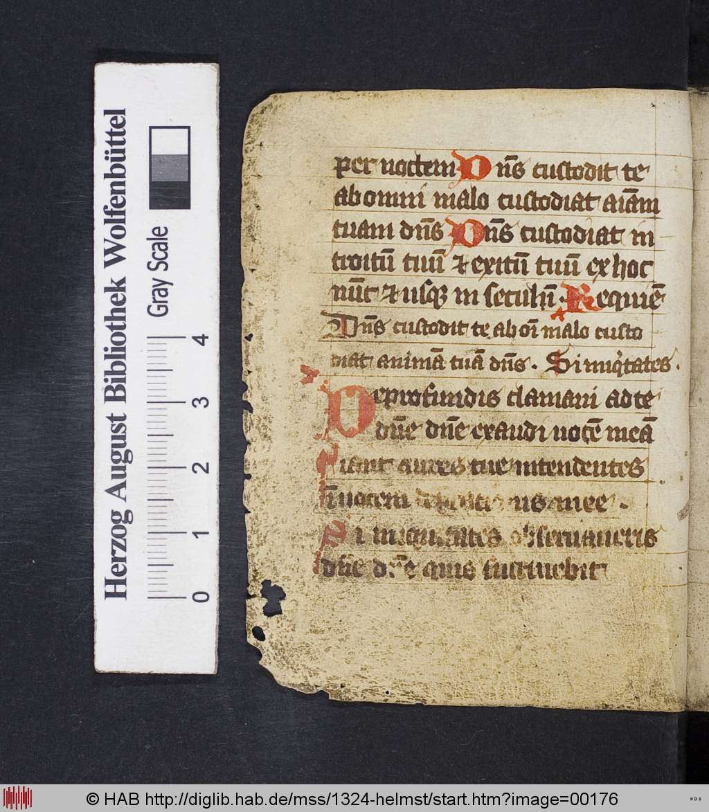 http://diglib.hab.de/mss/1324-helmst/00176.jpg