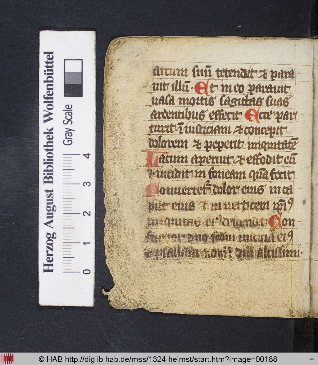 http://diglib.hab.de/mss/1324-helmst/00188.jpg