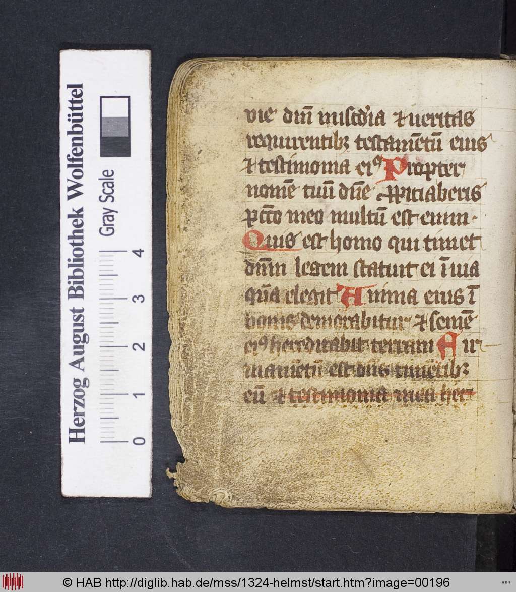 http://diglib.hab.de/mss/1324-helmst/00196.jpg