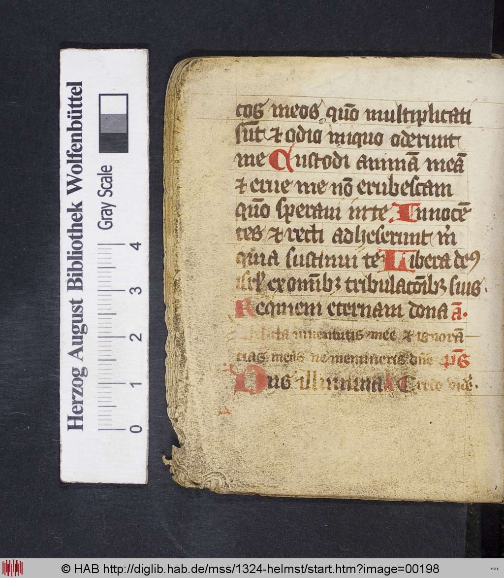 http://diglib.hab.de/mss/1324-helmst/00198.jpg