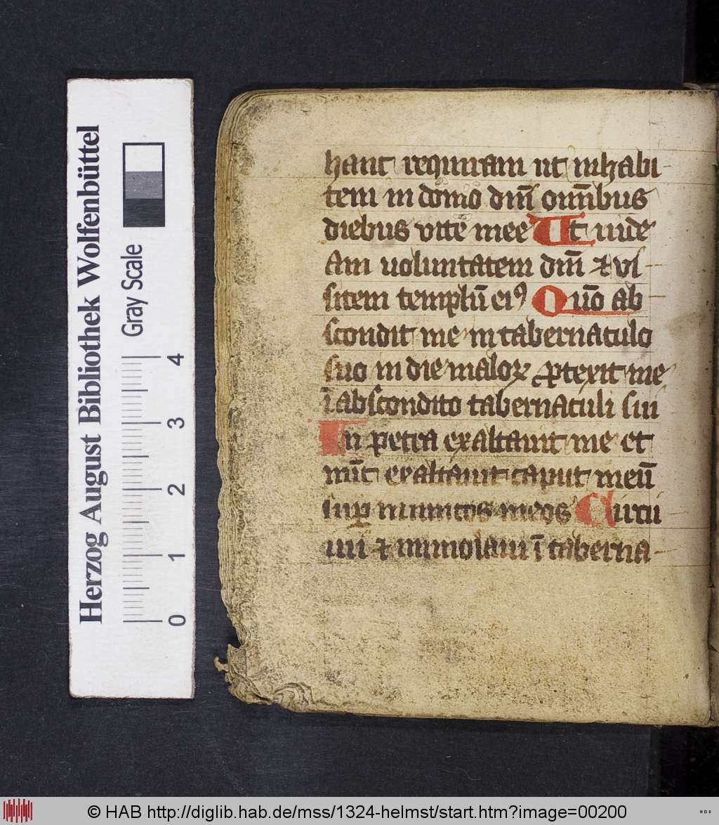 http://diglib.hab.de/mss/1324-helmst/00200.jpg