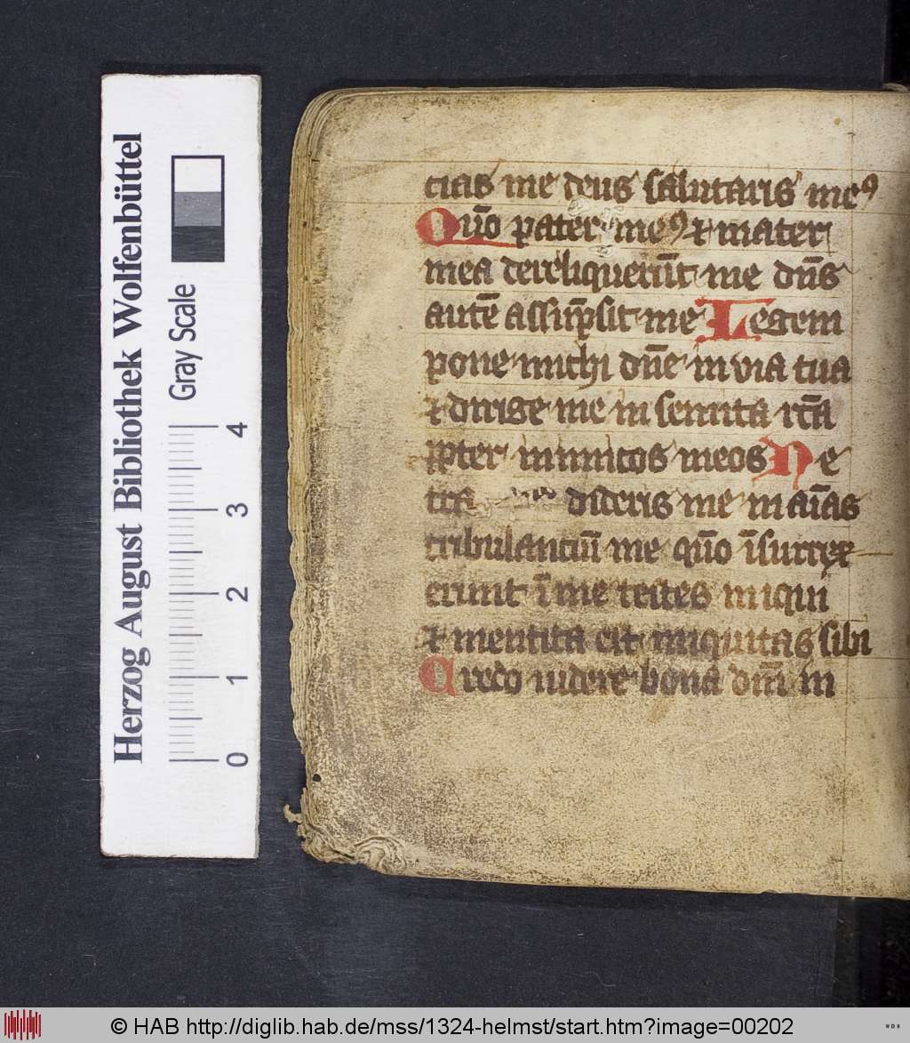 http://diglib.hab.de/mss/1324-helmst/00202.jpg