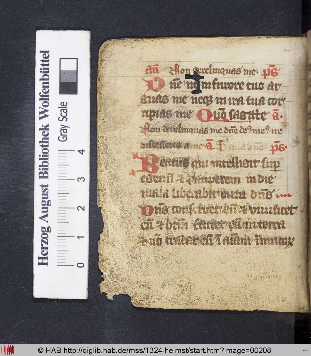 http://diglib.hab.de/mss/1324-helmst/00208.jpg