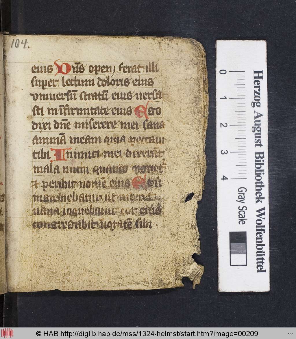 http://diglib.hab.de/mss/1324-helmst/00209.jpg