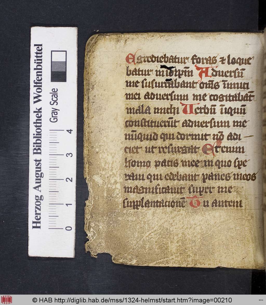 http://diglib.hab.de/mss/1324-helmst/00210.jpg