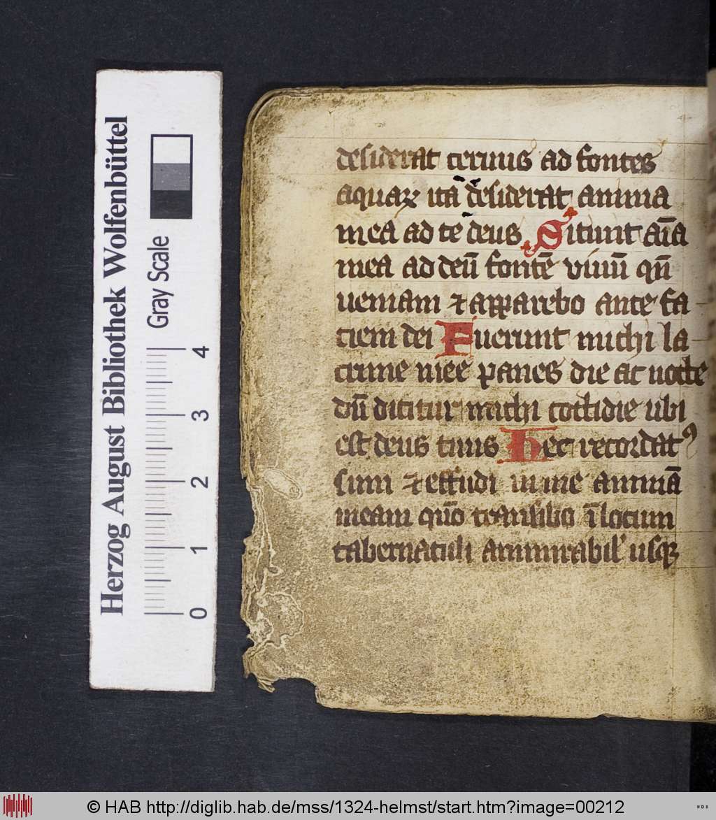 http://diglib.hab.de/mss/1324-helmst/00212.jpg