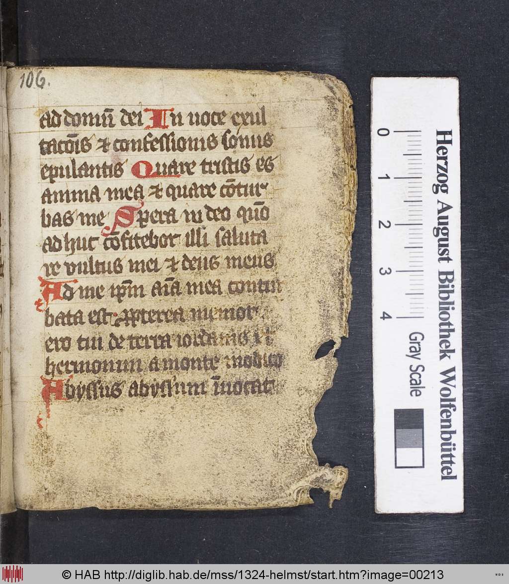 http://diglib.hab.de/mss/1324-helmst/00213.jpg