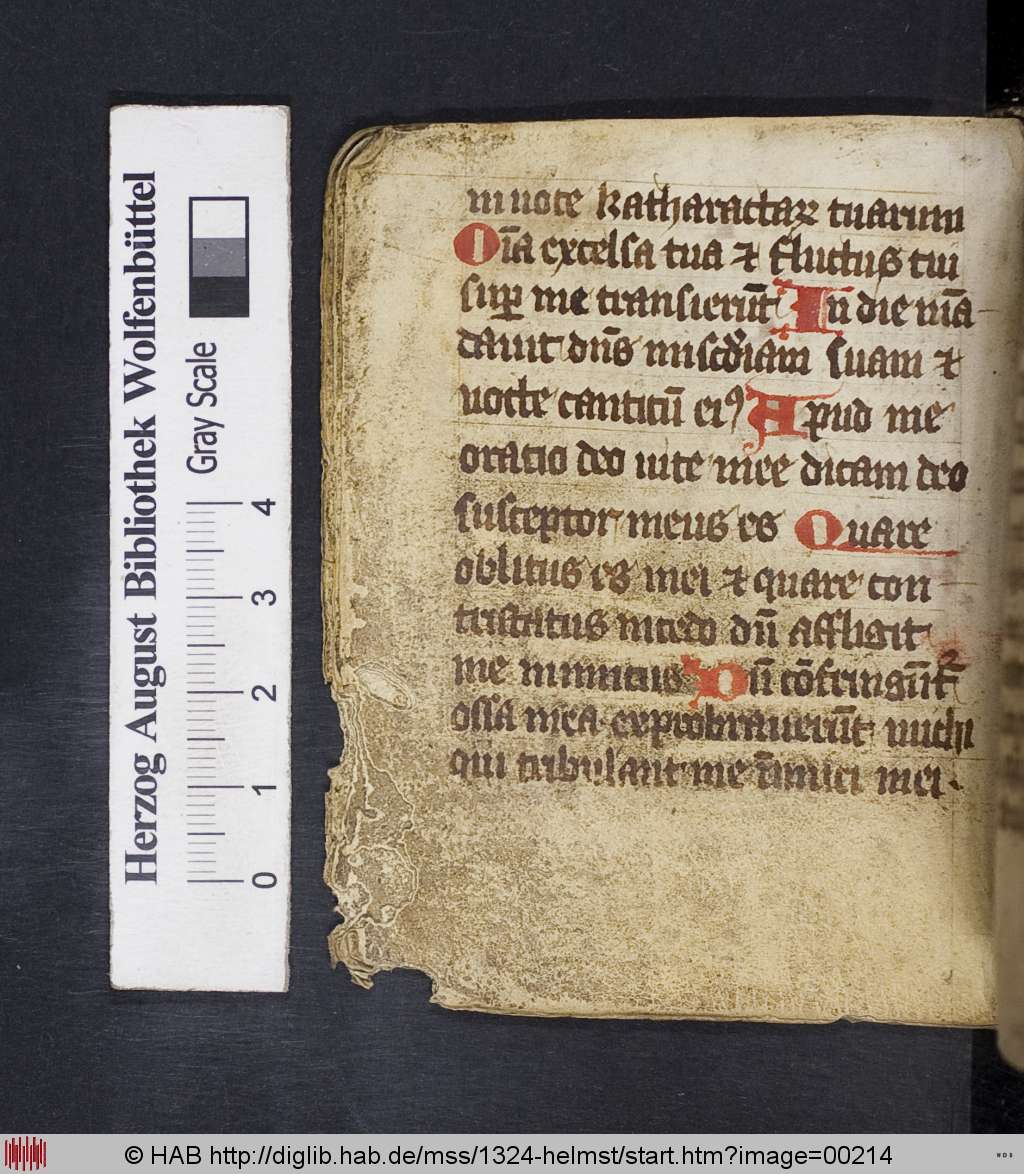 http://diglib.hab.de/mss/1324-helmst/00214.jpg