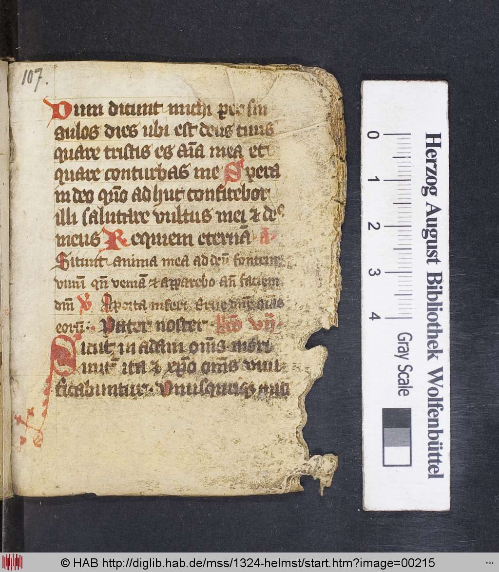 http://diglib.hab.de/mss/1324-helmst/00215.jpg