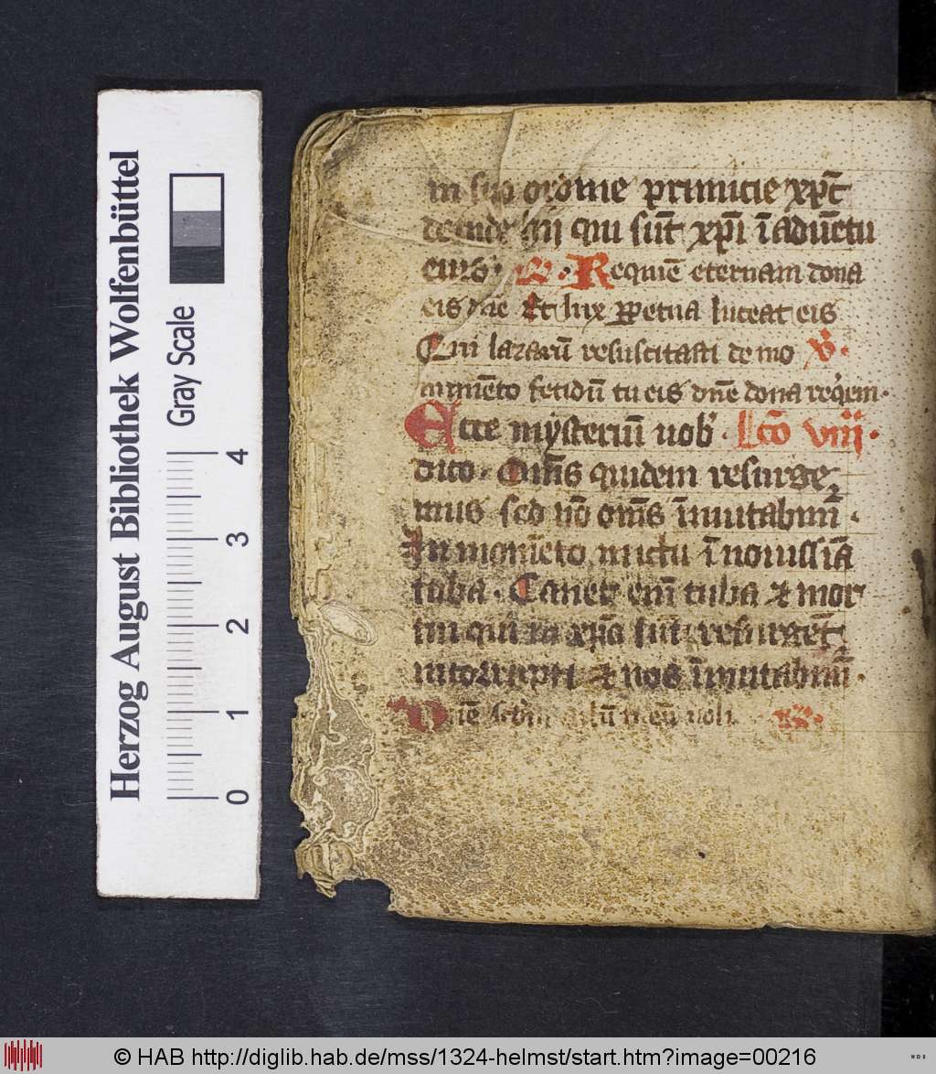 http://diglib.hab.de/mss/1324-helmst/00216.jpg