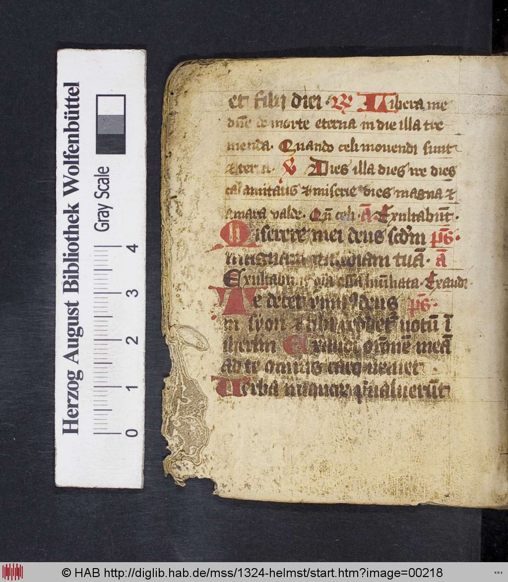 http://diglib.hab.de/mss/1324-helmst/00218.jpg