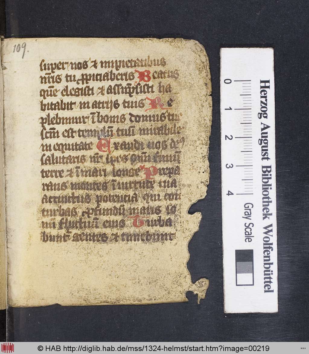 http://diglib.hab.de/mss/1324-helmst/00219.jpg