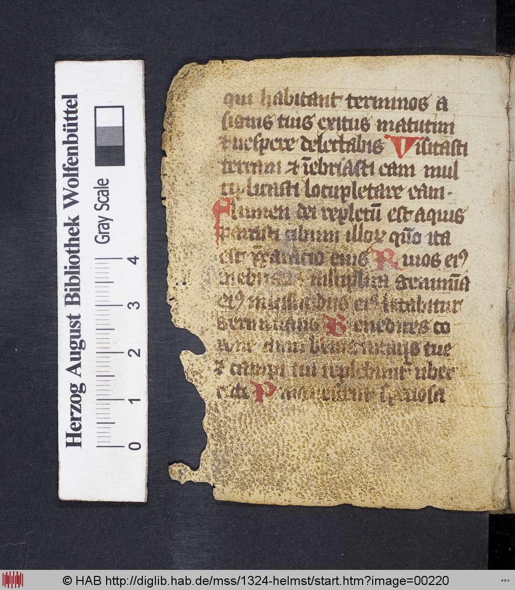 http://diglib.hab.de/mss/1324-helmst/00220.jpg