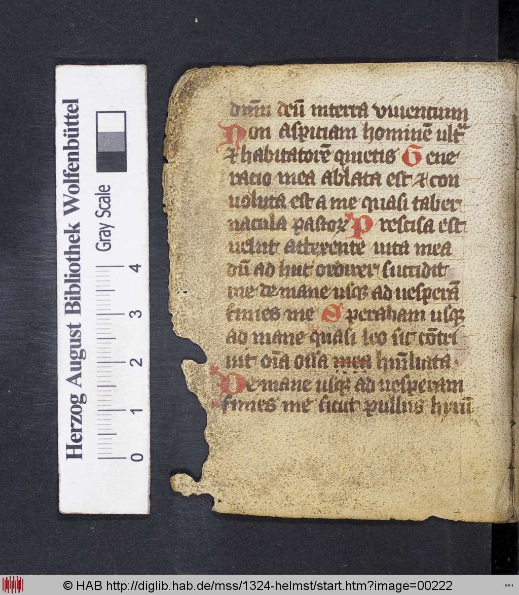 http://diglib.hab.de/mss/1324-helmst/00222.jpg