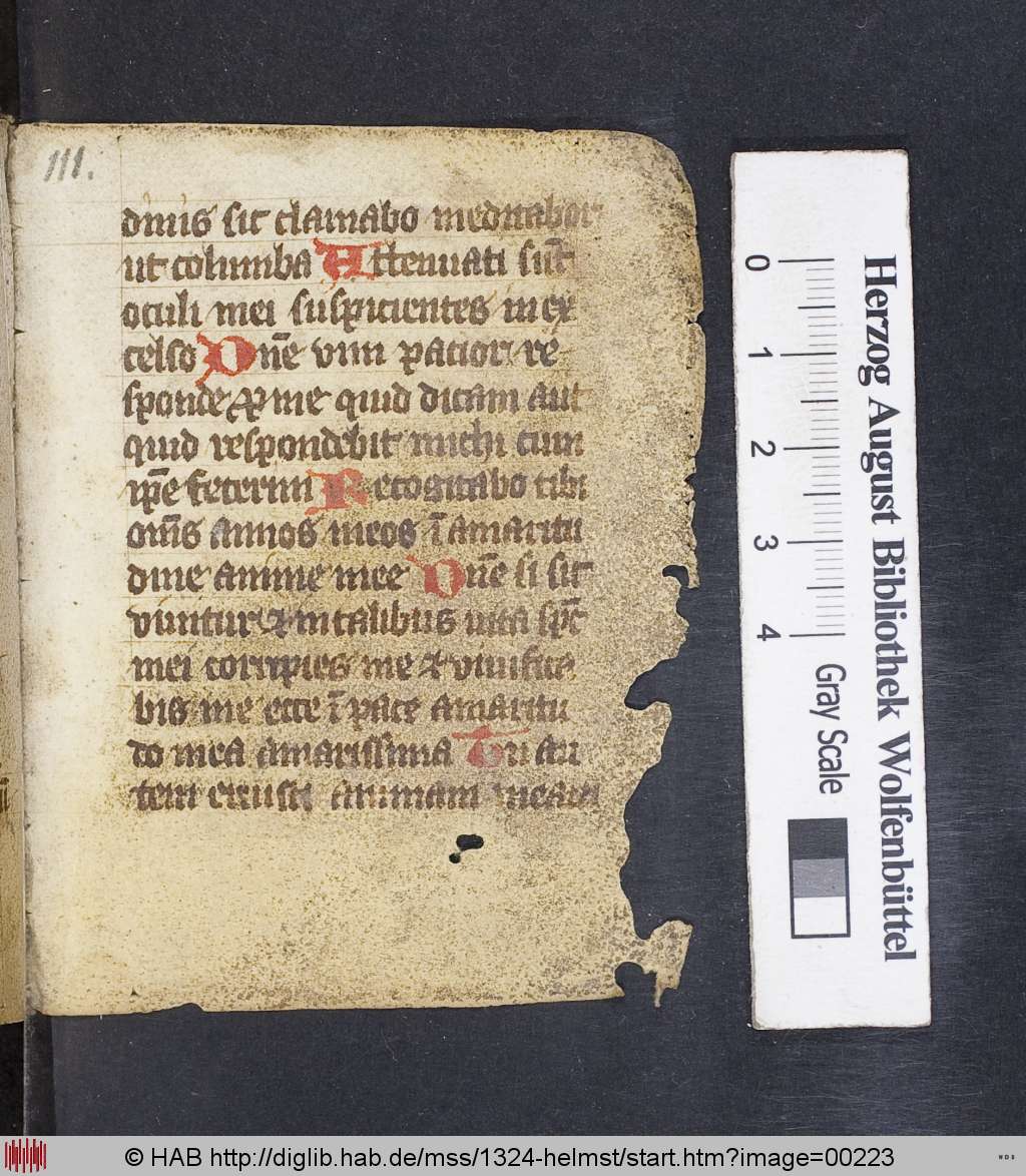 http://diglib.hab.de/mss/1324-helmst/00223.jpg