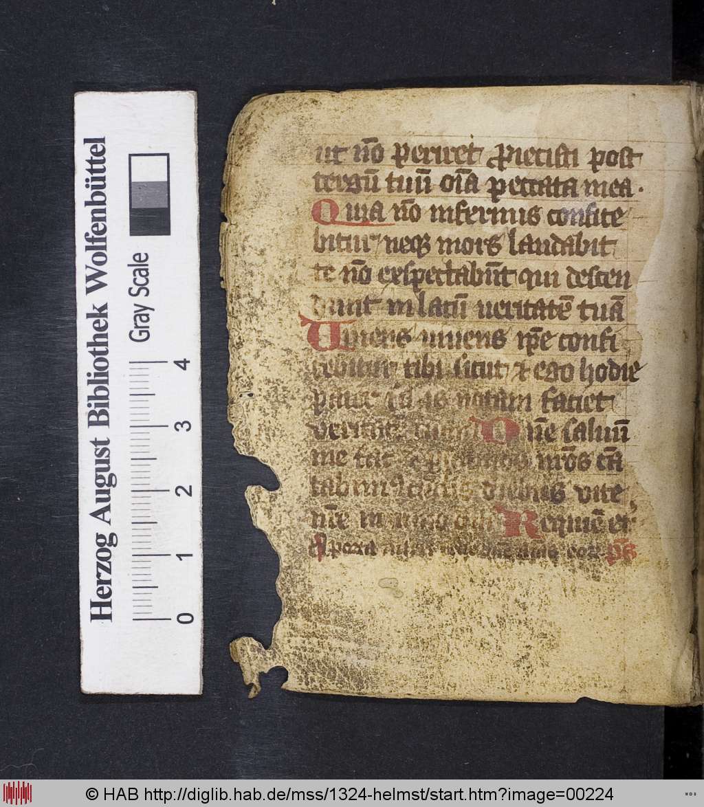 http://diglib.hab.de/mss/1324-helmst/00224.jpg