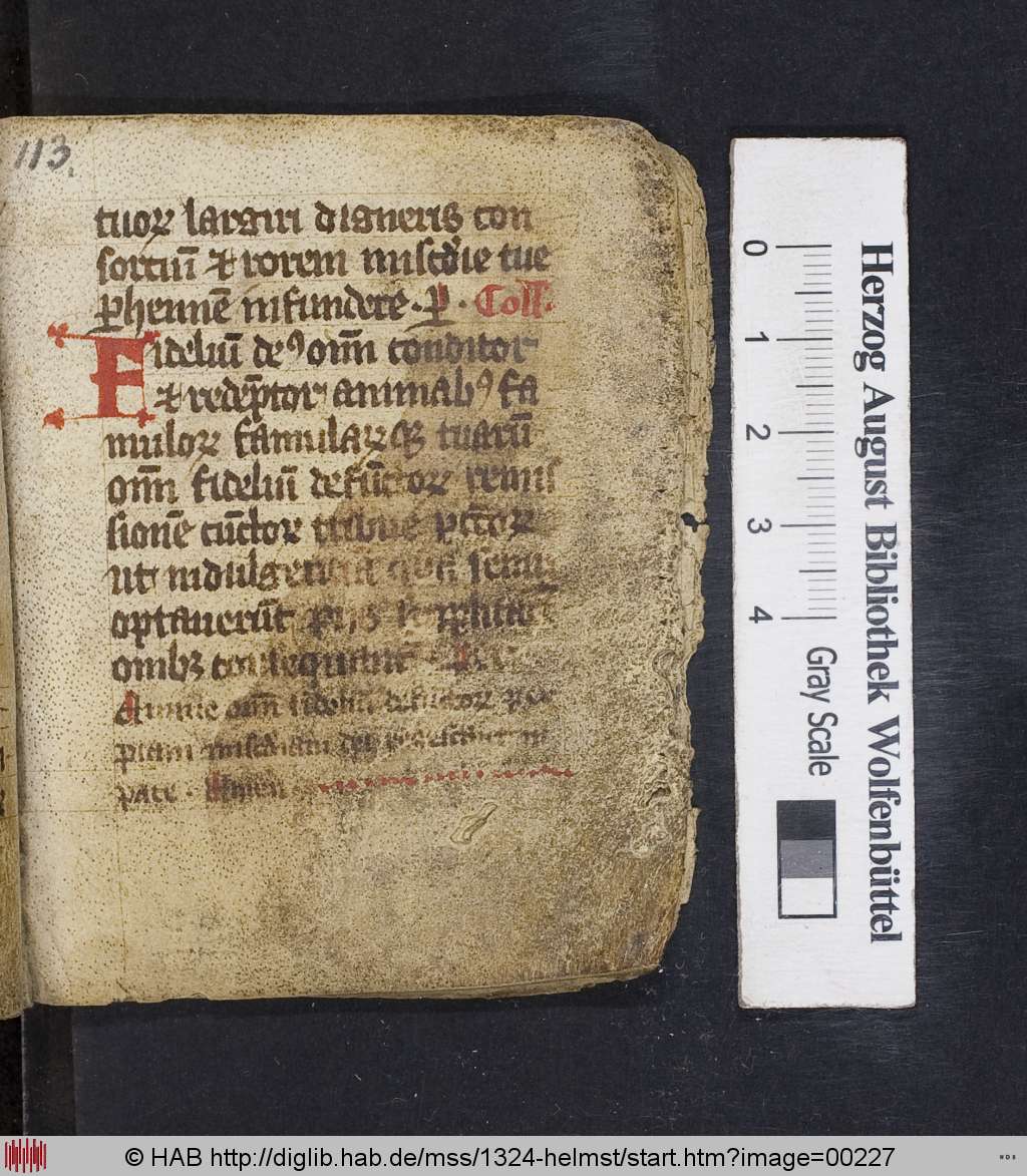 http://diglib.hab.de/mss/1324-helmst/00227.jpg