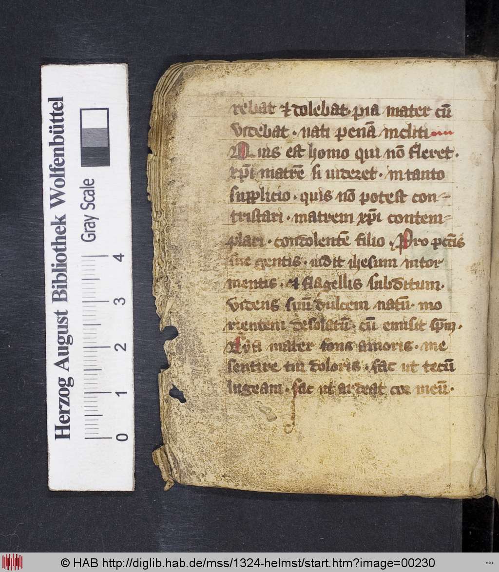 http://diglib.hab.de/mss/1324-helmst/00230.jpg