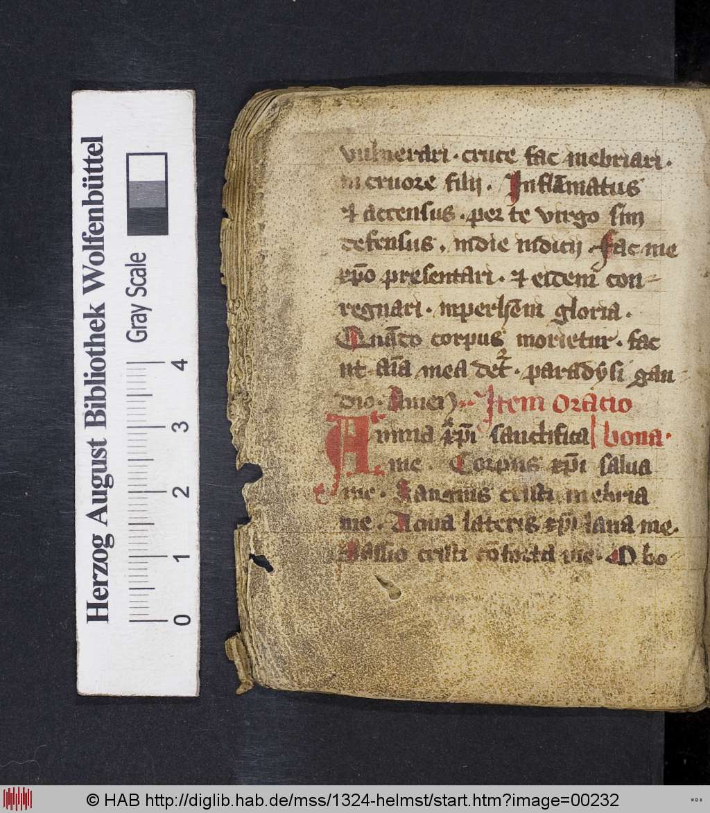 http://diglib.hab.de/mss/1324-helmst/00232.jpg