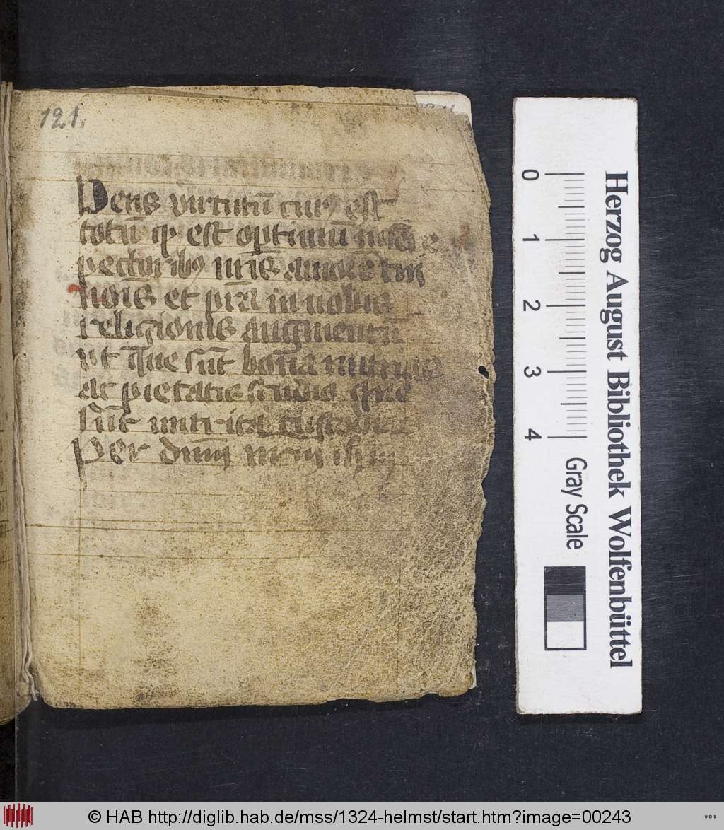 http://diglib.hab.de/mss/1324-helmst/00243.jpg