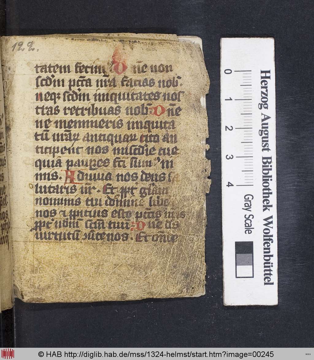 http://diglib.hab.de/mss/1324-helmst/00245.jpg