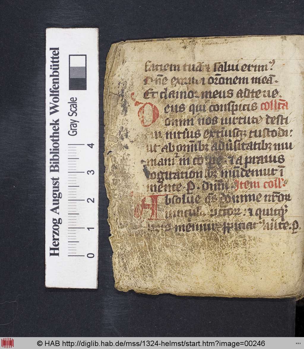 http://diglib.hab.de/mss/1324-helmst/00246.jpg