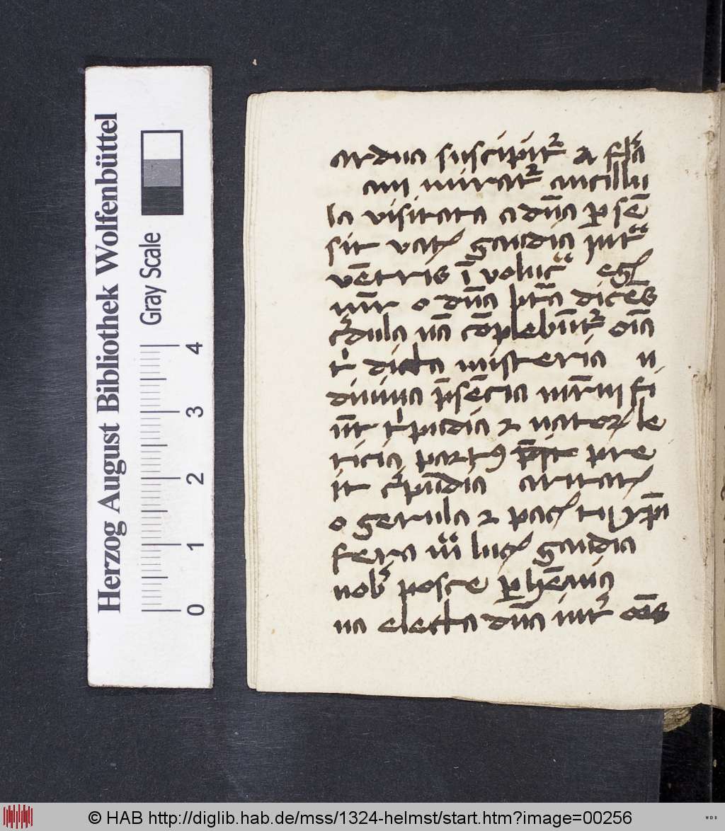 http://diglib.hab.de/mss/1324-helmst/00256.jpg