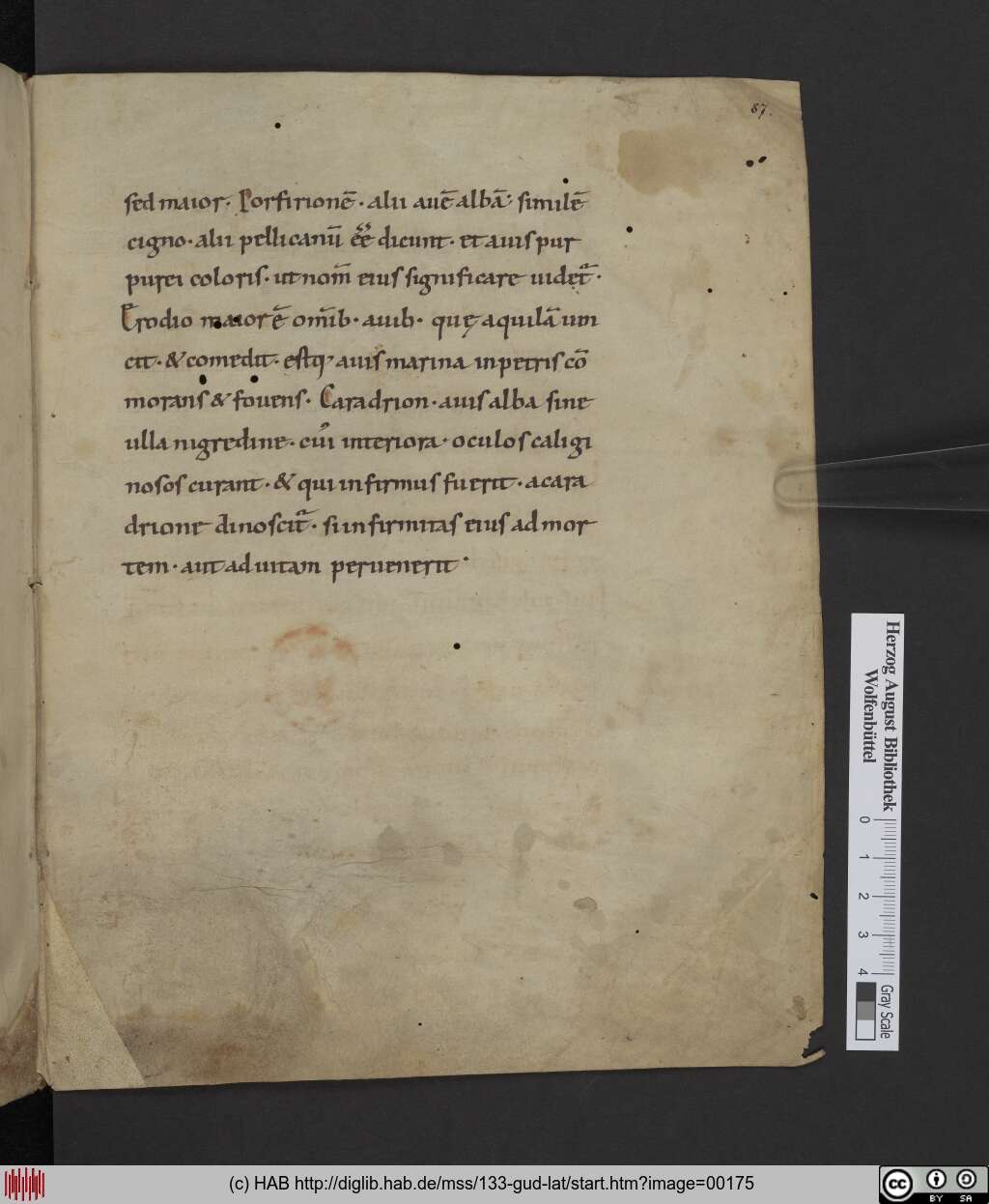 http://diglib.hab.de/mss/133-gud-lat/00175.jpg