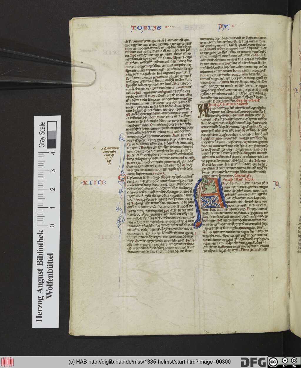 http://diglib.hab.de/mss/1335-helmst/00300.jpg