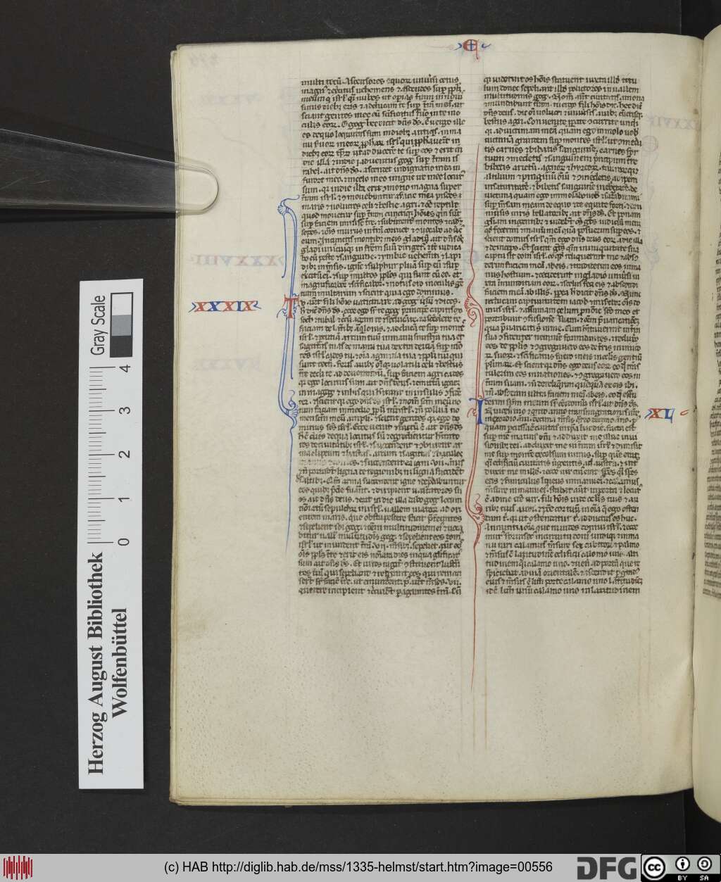http://diglib.hab.de/mss/1335-helmst/00556.jpg