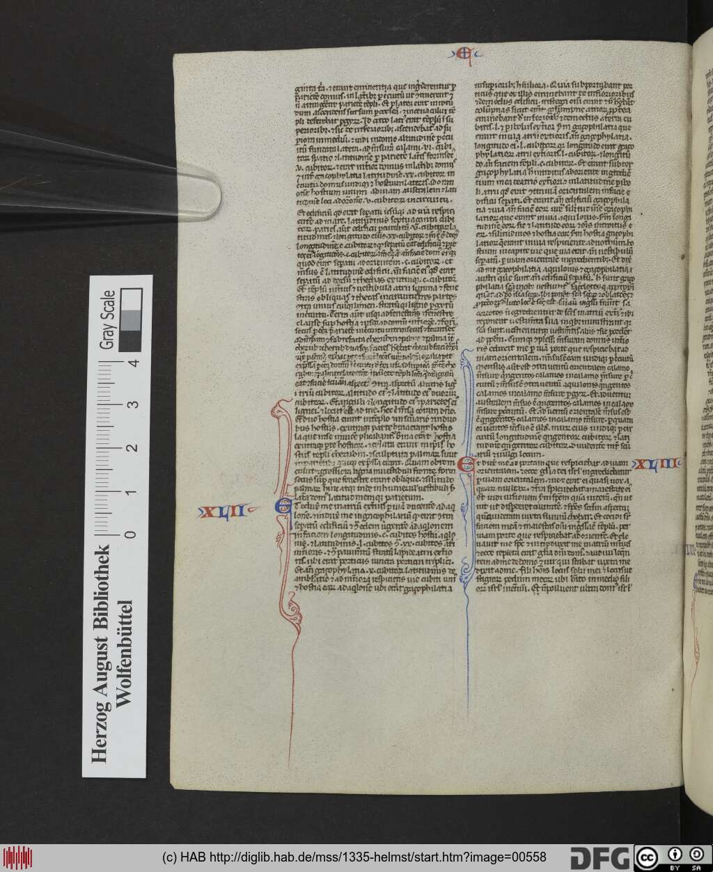 http://diglib.hab.de/mss/1335-helmst/00558.jpg