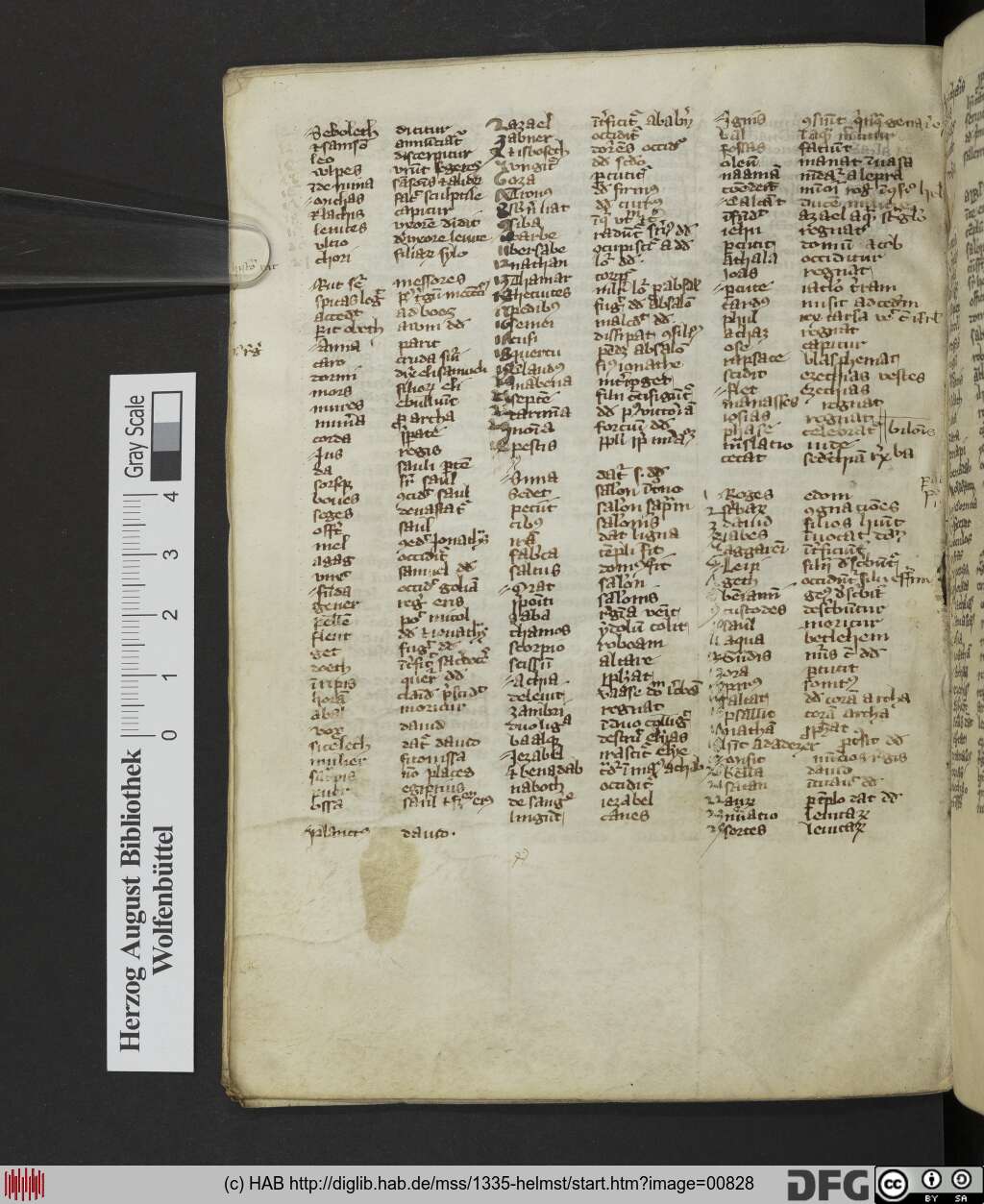 http://diglib.hab.de/mss/1335-helmst/00828.jpg