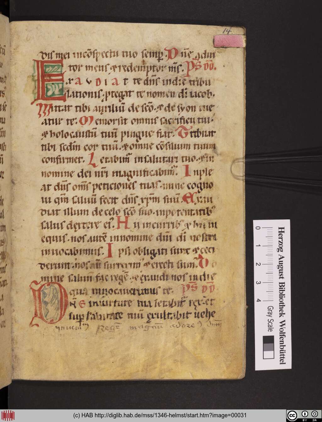 http://diglib.hab.de/mss/1346-helmst/00031.jpg